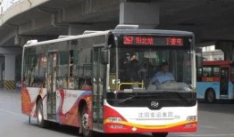 267路公交车爆料视频,惊现惊人一幕，视频曝光引网友热议